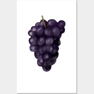 Grapes Posters and Art